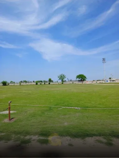 Pak Lions Cricket Academy 